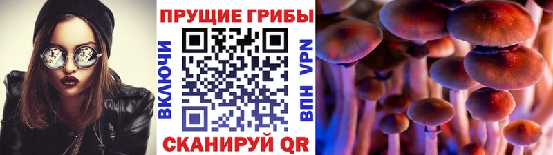 Галлюциногенные грибы Cubensis Зверево